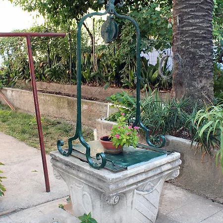 Green Garden